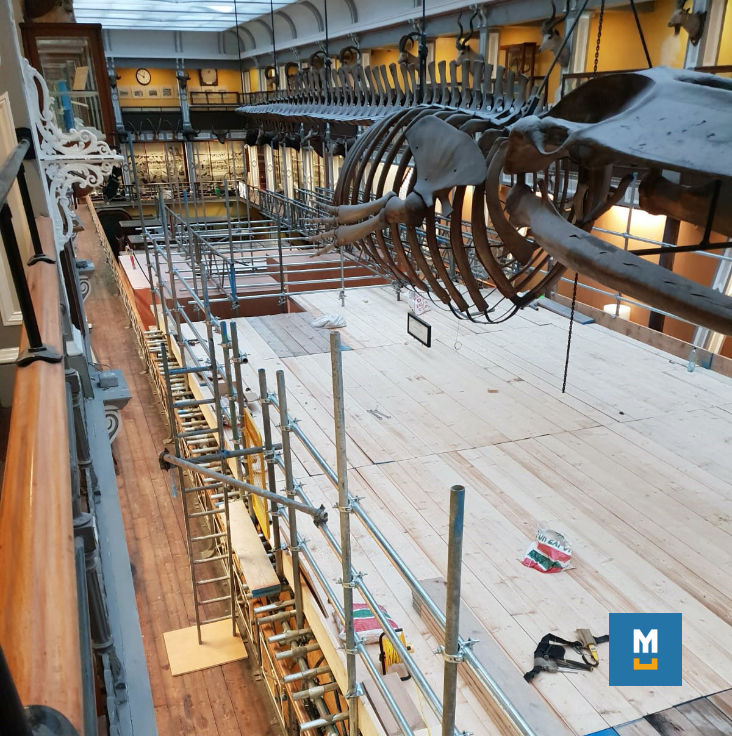 Natural History Museum Dublin